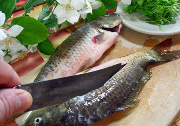 Хитрый рыбный суп от dunduk-culinar.ru
