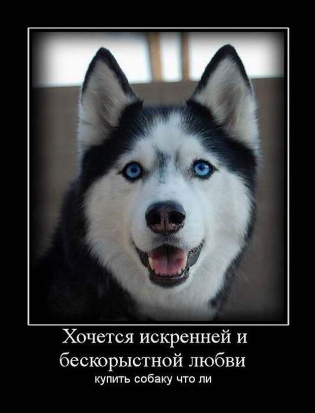 Демотиваторы  демотиваторы, прикол, смех, юмор