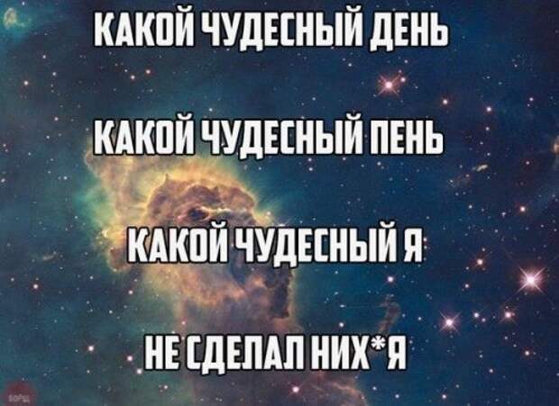 Солянка из прикольных картинок и фотографий Солянка из прикольных картинок и фотографий
