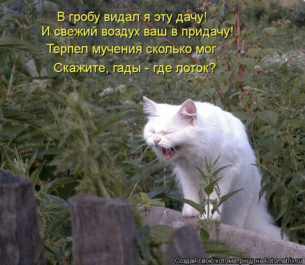 image (700x610, 505Kb)