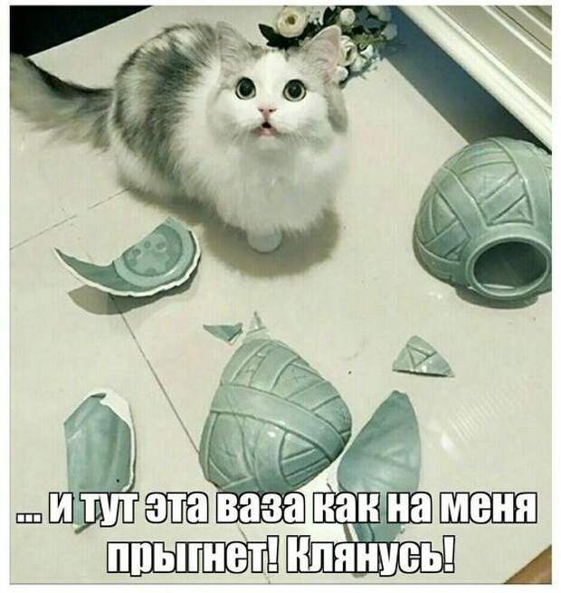 Угарные свежие мемы (понедельник)