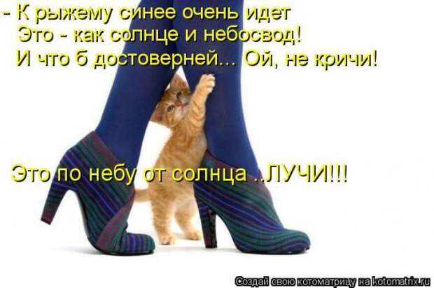 Котоматрицы (картинки с надписями)