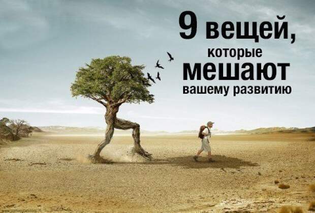 9 "убийц" нашего умственного развития: 9 "убийц" нашего умственного развития: