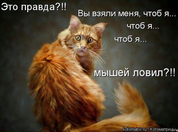 Давайте улыбаться вместе :)