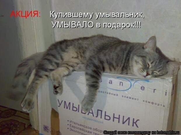 Лучшие котоматрицы - прикольные картинки Лучшие котоматрицы - прикольные картинки