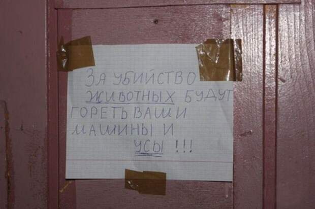 Смешные надписи и объявления  надписи, объявления, смешные, юмор