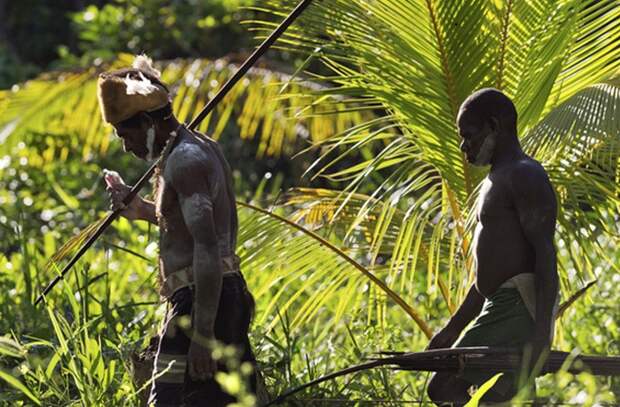 Каннибалы народности форе. Каннибалы народности форе.