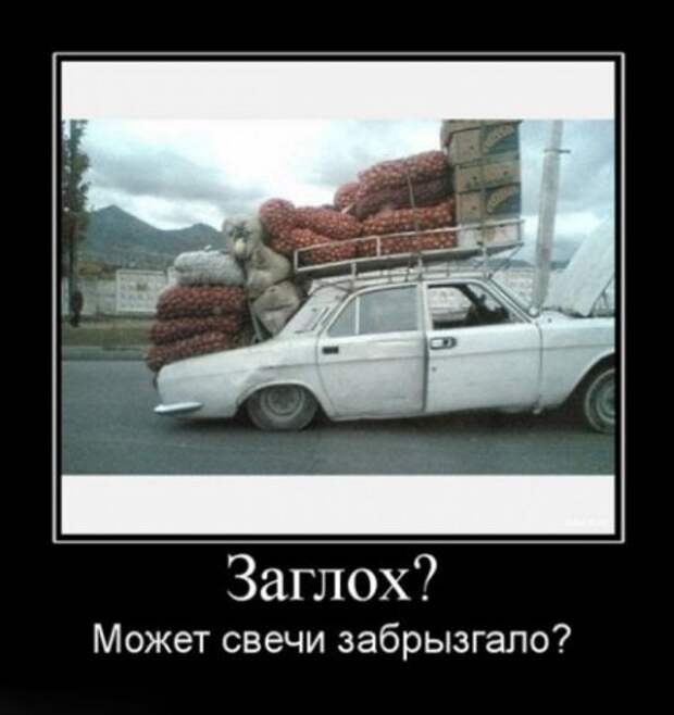 Демотиваторы свежие.