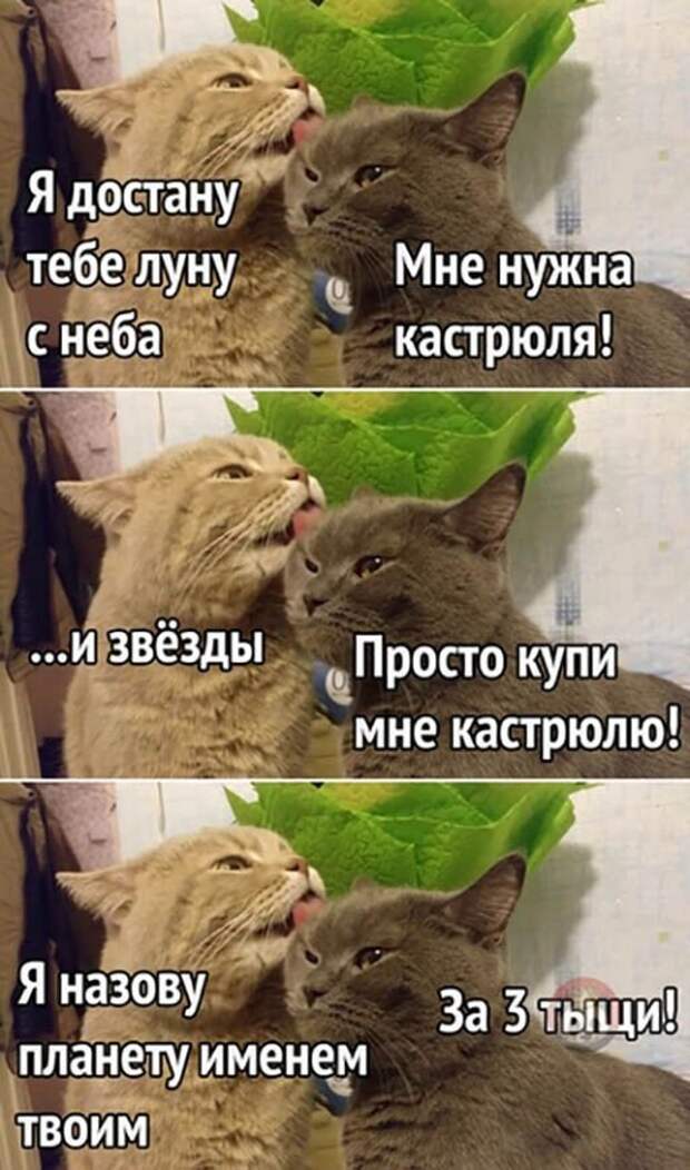Мне нужна кастрюля )