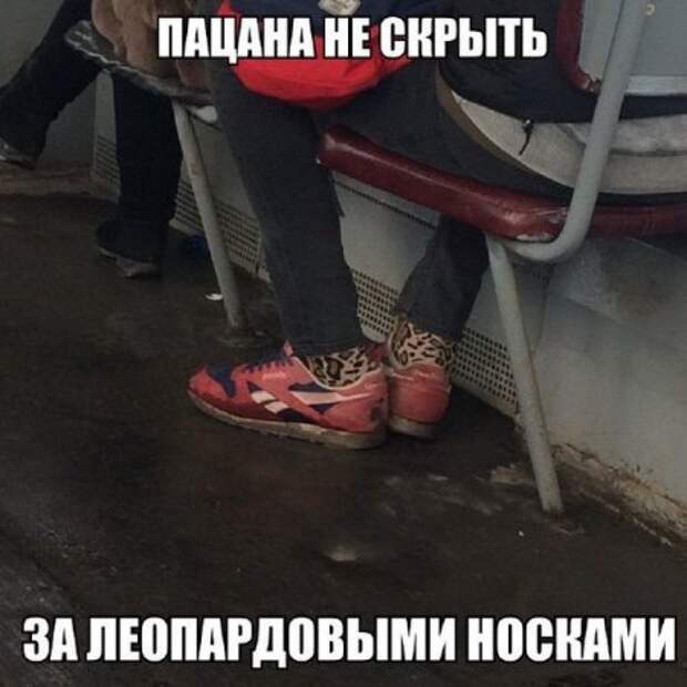 Новые фото приколы, позитивные факты.