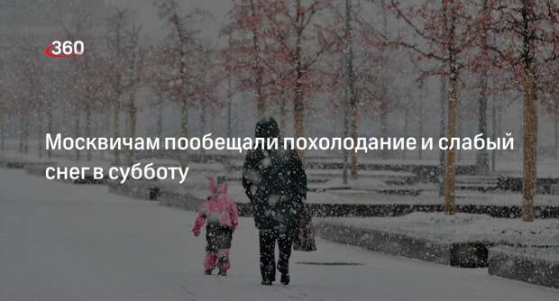 Синоптик Леус: в Москве 2 декабря пройдет снег и похолодает до — 6 градусов