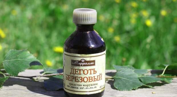 обработка березовым дегтем