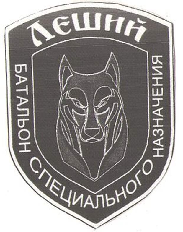 ЛНР отряд Леший