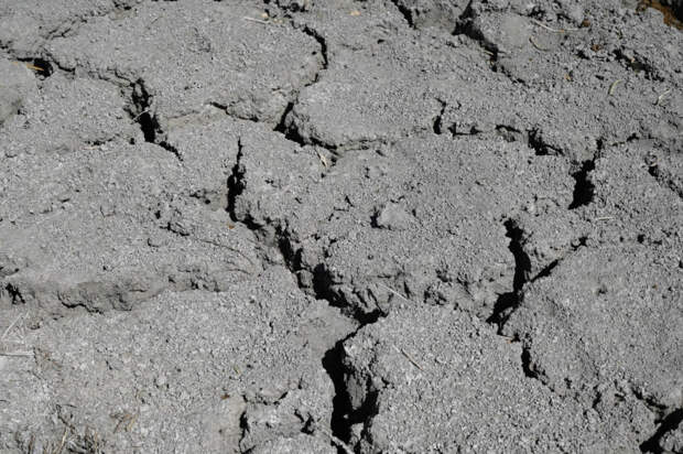 Сейсмолог объяснил, как рассчитывают устойчивость строений к землетрясениям