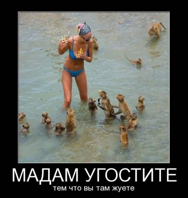 Похожее изображение