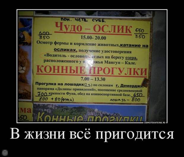 Деградируй правильно! 12