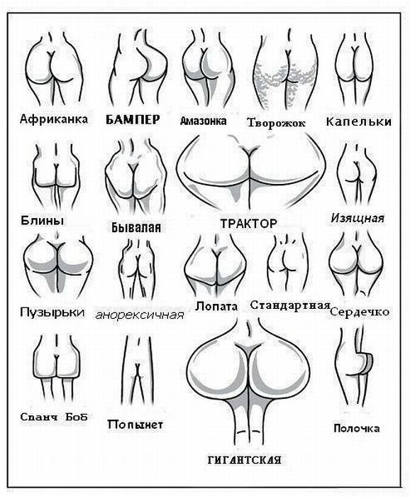 Прикольные картинки (84 фото)