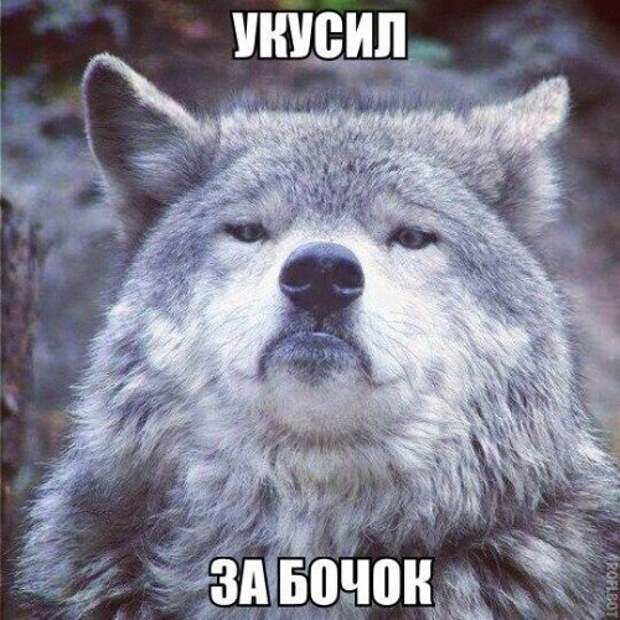 Прикольные картинки, ржака (52 шт)