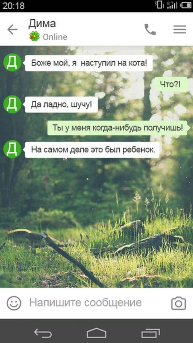 Мужские СМС-ки обо всём на свете (15 шт)