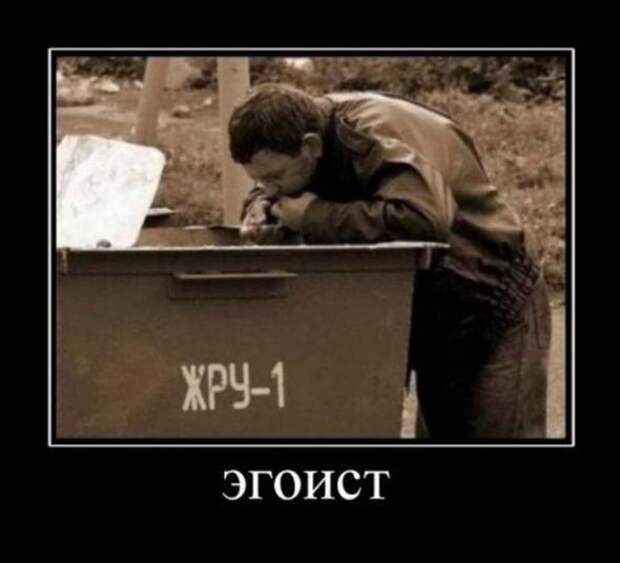 Немного новых демотиваторов