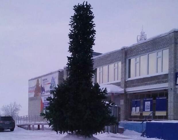 Коротко о том, что власти региона хотели передать горожанам... городская, прикол, центральная, ёлка