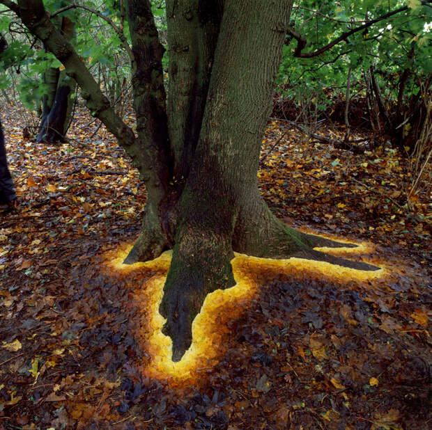 land-art-andy-goldsworthy-1