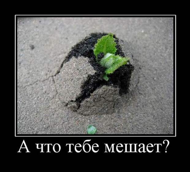 А что тебе мешает?