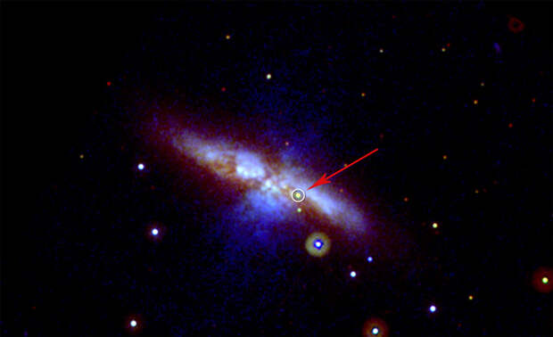 Сверхновая 2014J в галактике M82 (фото: NASA/Swift/P. Brown, TAMU с сайта svs.gsfc.nasa.gov)