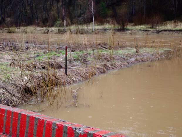 Инфографика по паводку в Тюменской области: река Ишим больше не поднимается