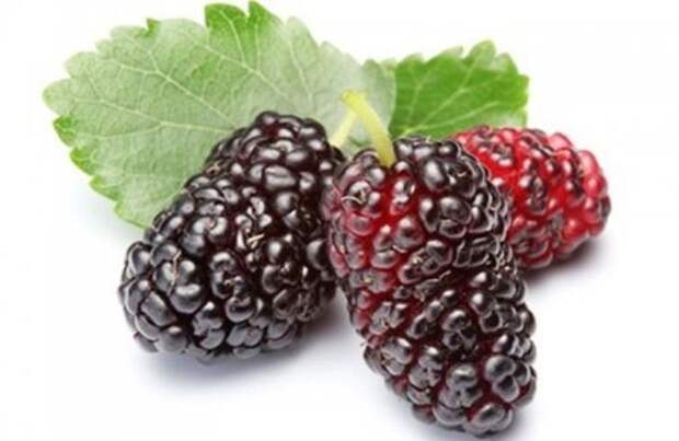 4. Бойзенова ягода гибрид, еда, фрукты