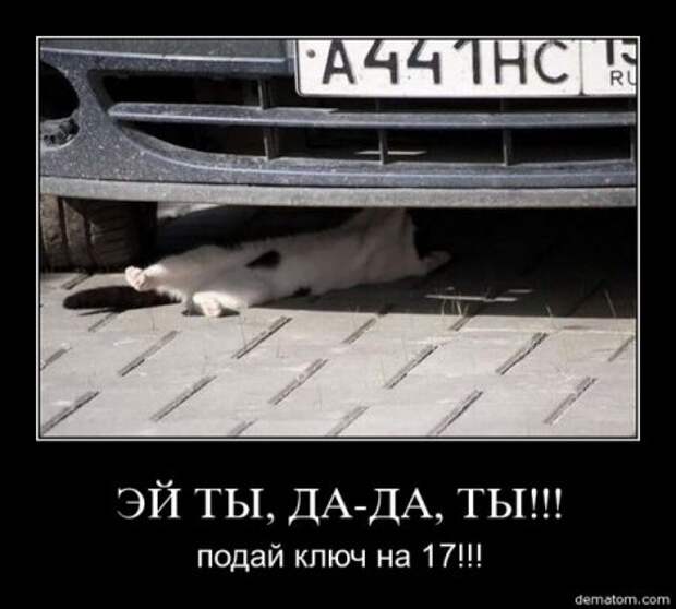 Демотиваторы новые смешные.