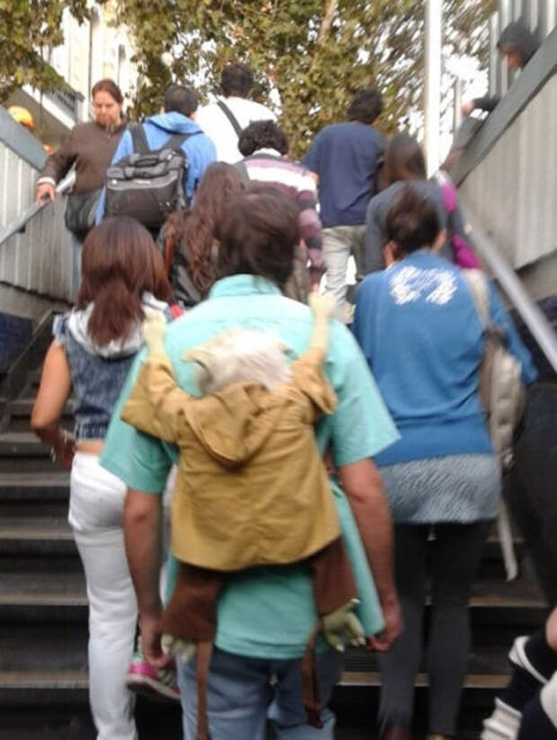 Идиотизм в картинках