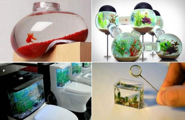 Творческие идеи устройства аквариумов дома и на работе
