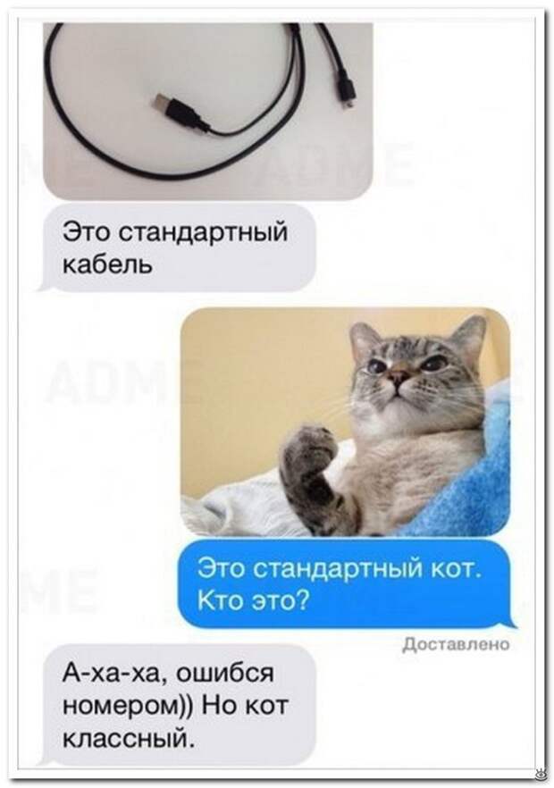 Весёлости-комментарии 17