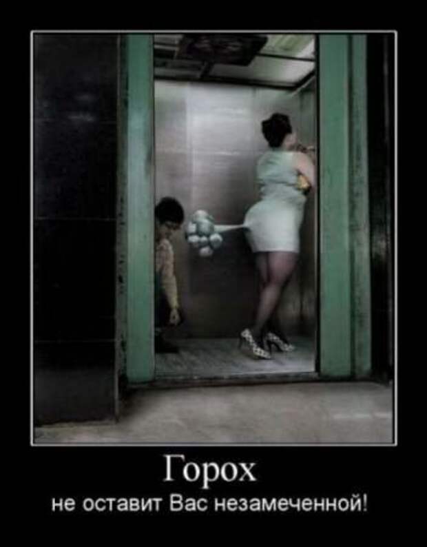 Демотиваторы новые фото приколы и смешные.