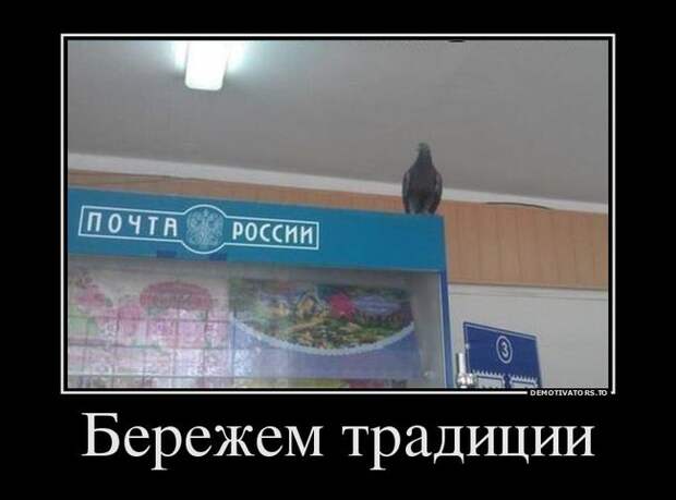 Демотиваторы  демотиваторы, прикол, смех, юмор