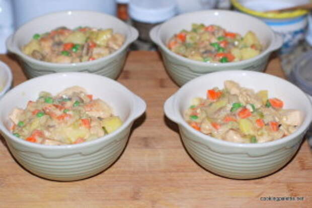 chicken pot pie (23)
