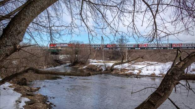 Baza: пассажир РЖД вытолкнул проводницу на пути и избил начальника поезда