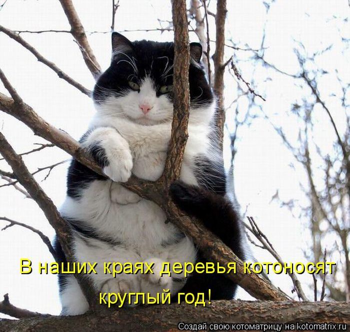 Мысли вслух :)