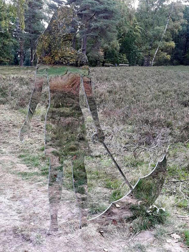 Фотографии, созданные специально чтобы удивлять