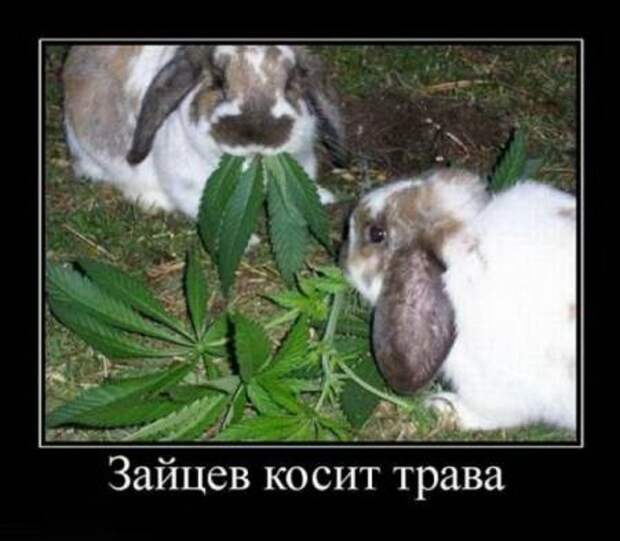 Демки прикольные