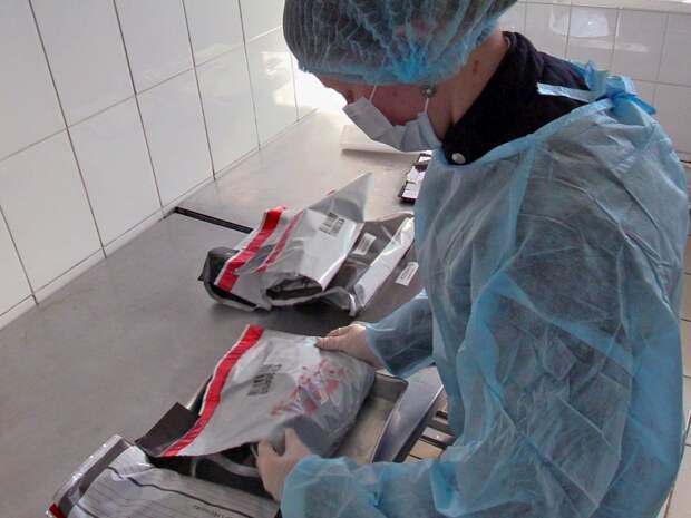 На Смоленщину не пустили больше 6 тон зараженных салатов