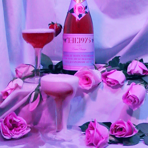 Пьющая девушка поймет. 21 пункт