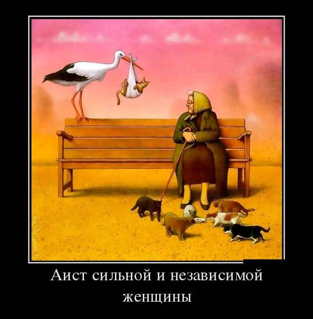 Демотиваторы (30 фото)