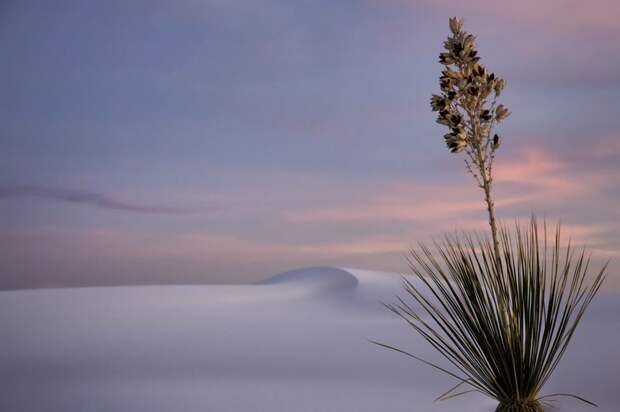 The winners of garden photography the International Garden Photographer of the Year 13