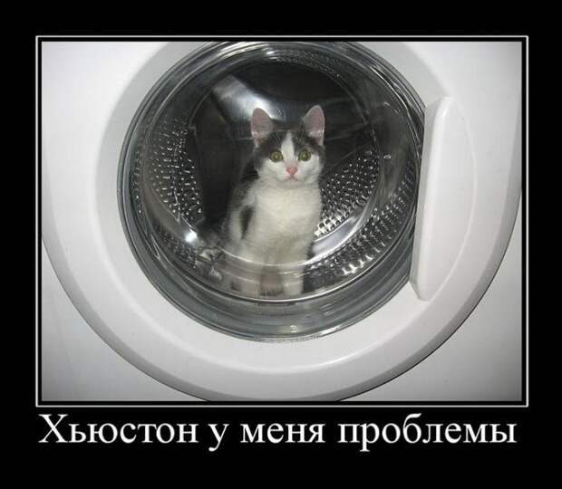 Демотиваторы (30 фото) Демотиваторы (30 фото)