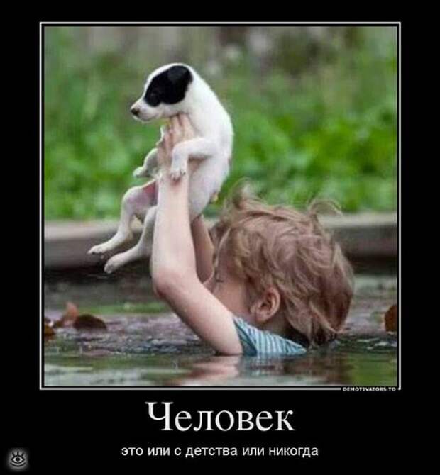 Утренняя зарядка демотиваторами 20