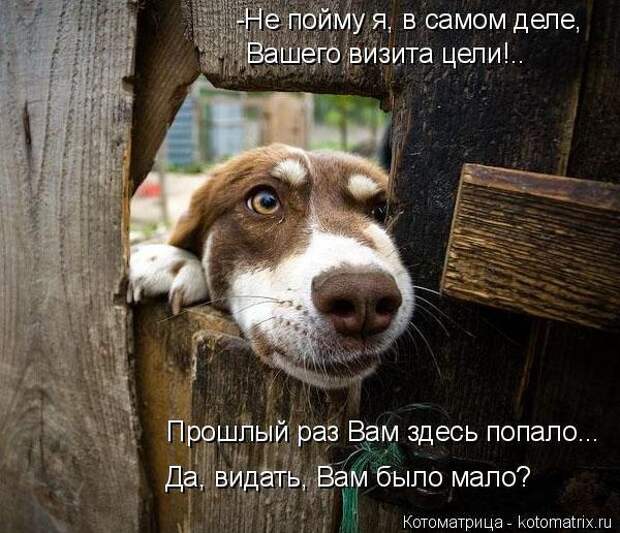 600x720-d51476f0d1dc44cfa9fa5e33dd50188c_103348 (600x516, 203Kb)