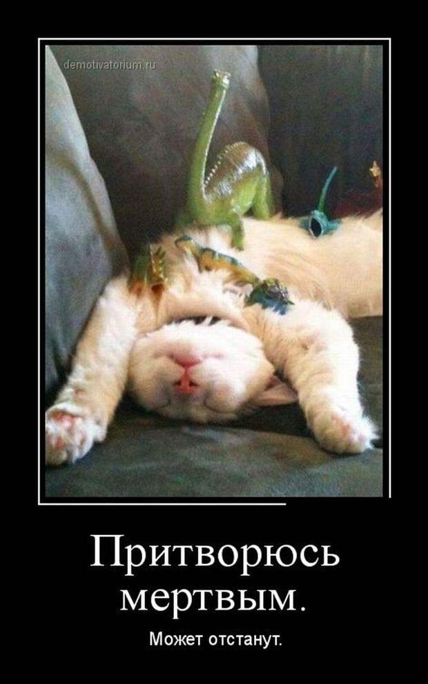 Демотиваторы демотиваторы, юмор