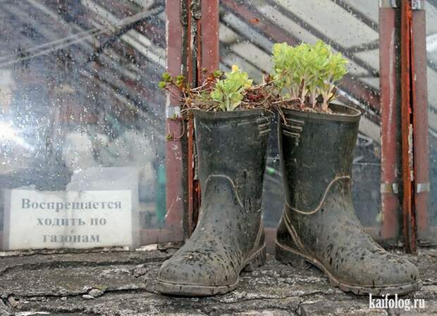 Инсталляция по-русски (45 фото)